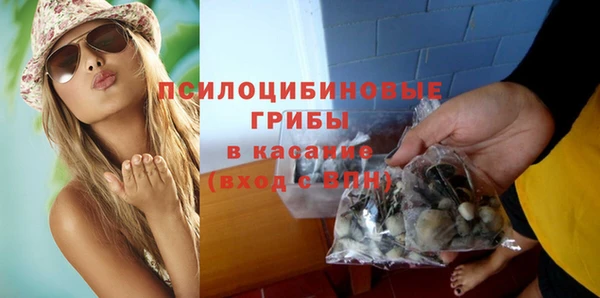 стафф Алексин