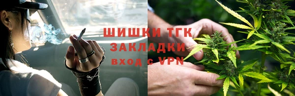 соль ск Алзамай