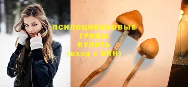 стафф Алексин