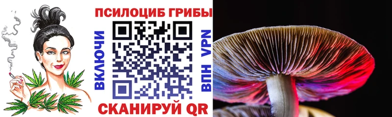 Галлюциногенные грибы прущие грибы  Шацк 